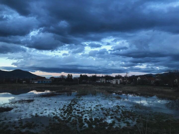 moje cveće, u crnini