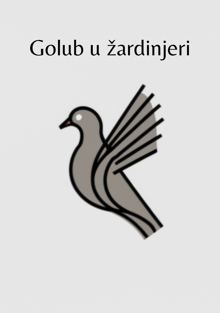 Golub u žardinjeri